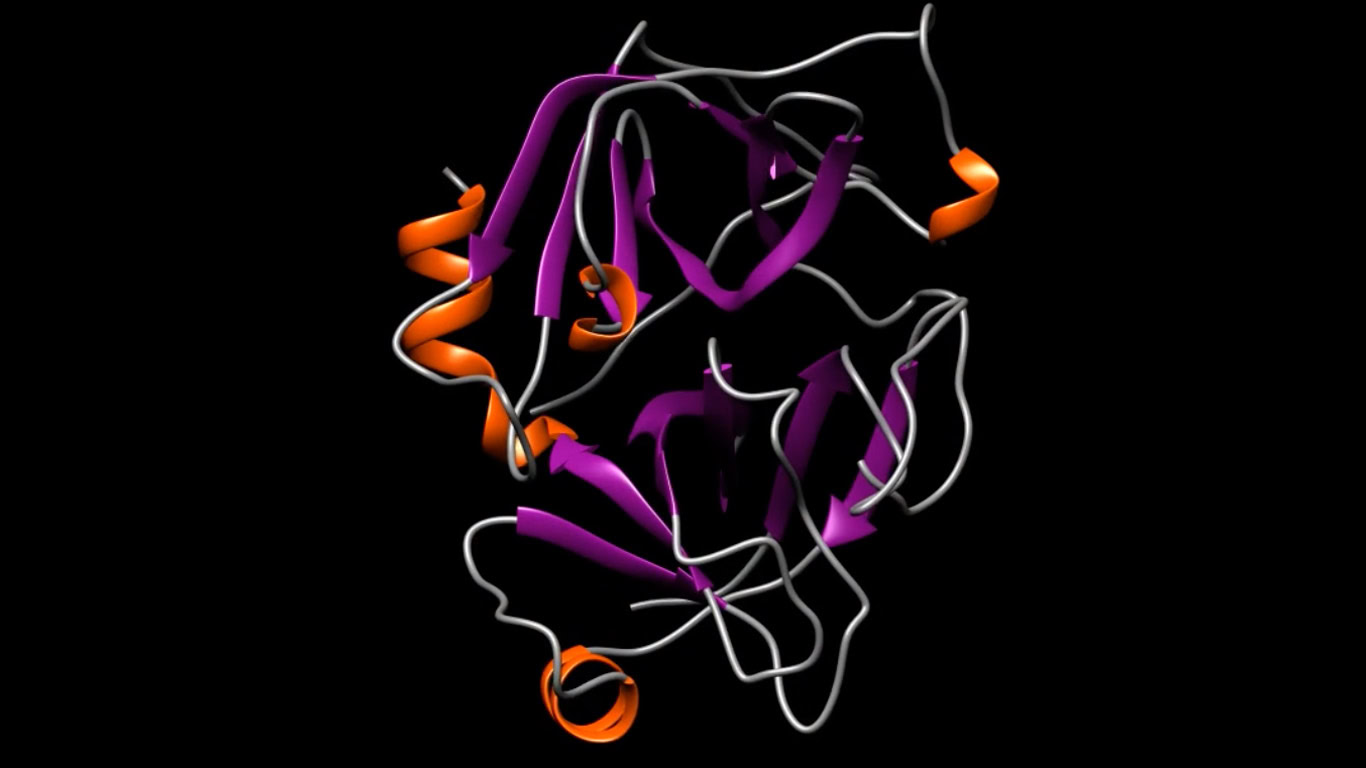 A 3D model of a protein structure with white, purple, and orange strands on a black background.