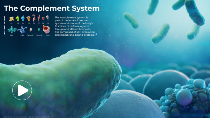 Image illustrating the complement system, part of the immune system, with labeled components such as C1q, C3, and Factor B. It highlights its role in defending against foreign and altered host cells.